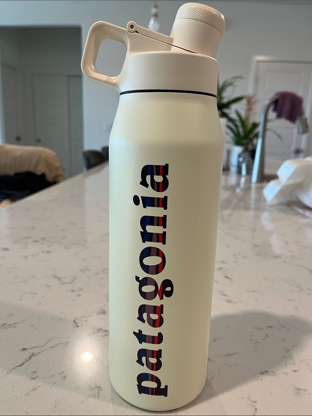 Patagonia Cream Insulated Water Bottle with  Carry Handle made by Miir.